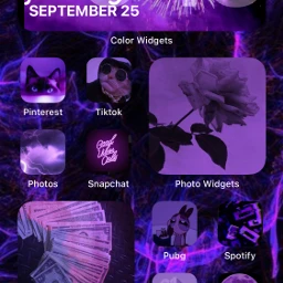 homescreen purple aestethic money flower phone iphone fcshowoffyourhomescreen showoffyourhomescreen