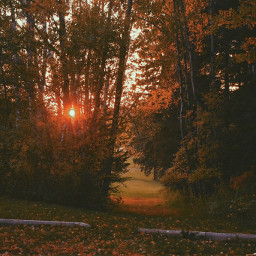 goldenhour fall fallcolors mood nature outdoor travel autumn pcgoldenhour