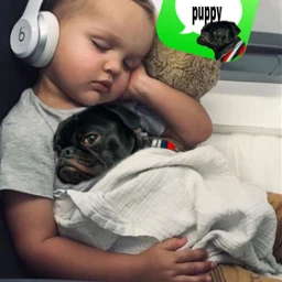 children pet puppy cute love rchomescreencustomization freetoedit