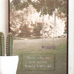 swing lonely quote quotes sadquotes lovequote heartbreakquote deathquote cactus frame swinging grass tree ircfunswing funswing freetoedit