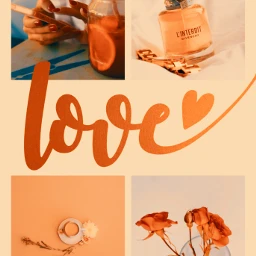 ccorangeaesthetic orangeaesthetic thingsthatmakemehappy orangelove collage