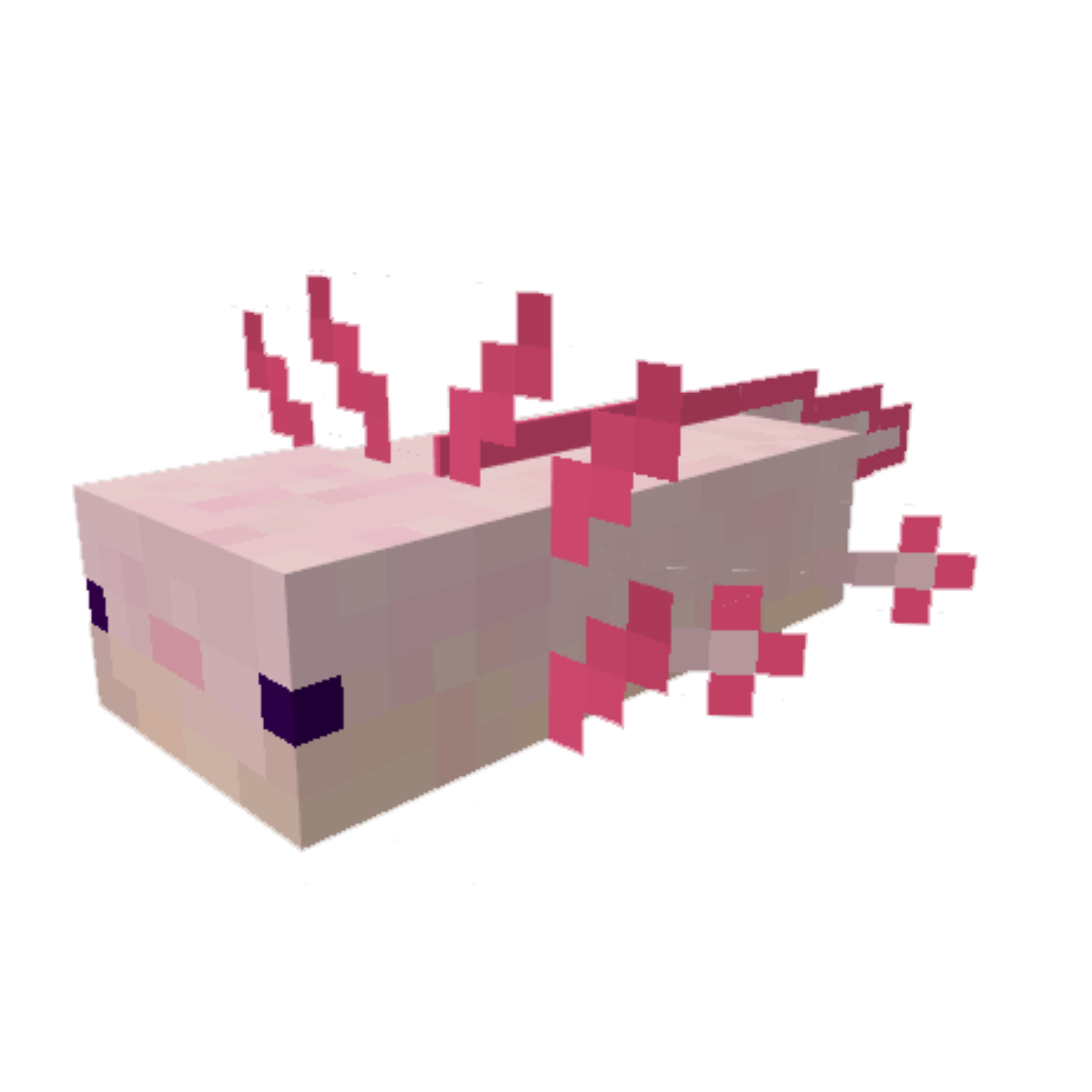 【人気ダウンロード！】 axolotl cute minecraft 258234Axolotl cute minecraft