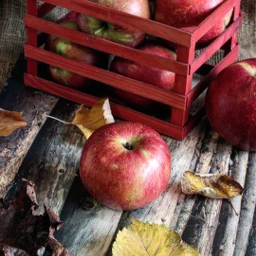 apple autumn freetoedit pcautumnflatlay autumnflatlay