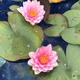 freetoedit lilypad oilpaintingeffect paintingeffect floral pink flowers photography stickers sparkles galaxy water reflection tranquility brusheffect madewithpicsart picsart
