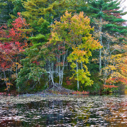 naturephotography lake autumntrees autumncolors