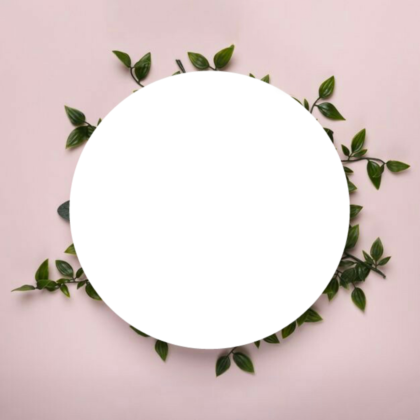 circle mirror pink wall be_creative sticker by shmj77