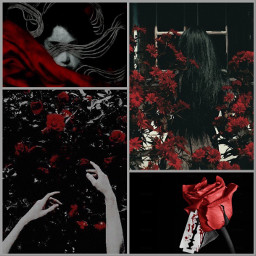 aesthetic roses black red redaesthetic darkaesthetic