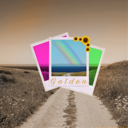 golden selfconfidence youarebeautiful hereforyou poloroid rainbow sunflow countryside photooftheday special rare oneofakind freetoedit
