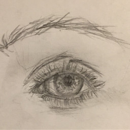 eye drawing drawmore dollarisking