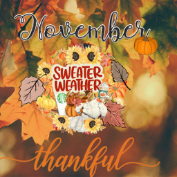 unsplash november thanksgiving sweaterweather wallpaper freetoedit