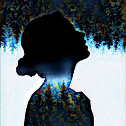 picsart picsarteffects silhouette magiceffects freetoedit