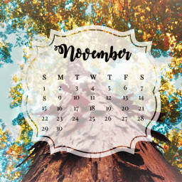 november fall fun cool nature tree calander colorful asthetic leaves trees perspective freetoedit srcnovembercalendar novembercalendar
