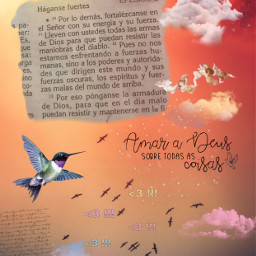 pájaros cielo palabradedios biblia collage naranja nubes >3 freetoedit