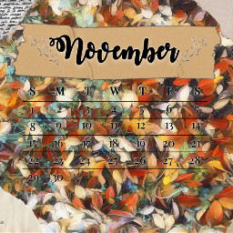novembercalendar november calendar fall autumn freetoedit