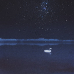 freetoedit lake night sky alone stars goose