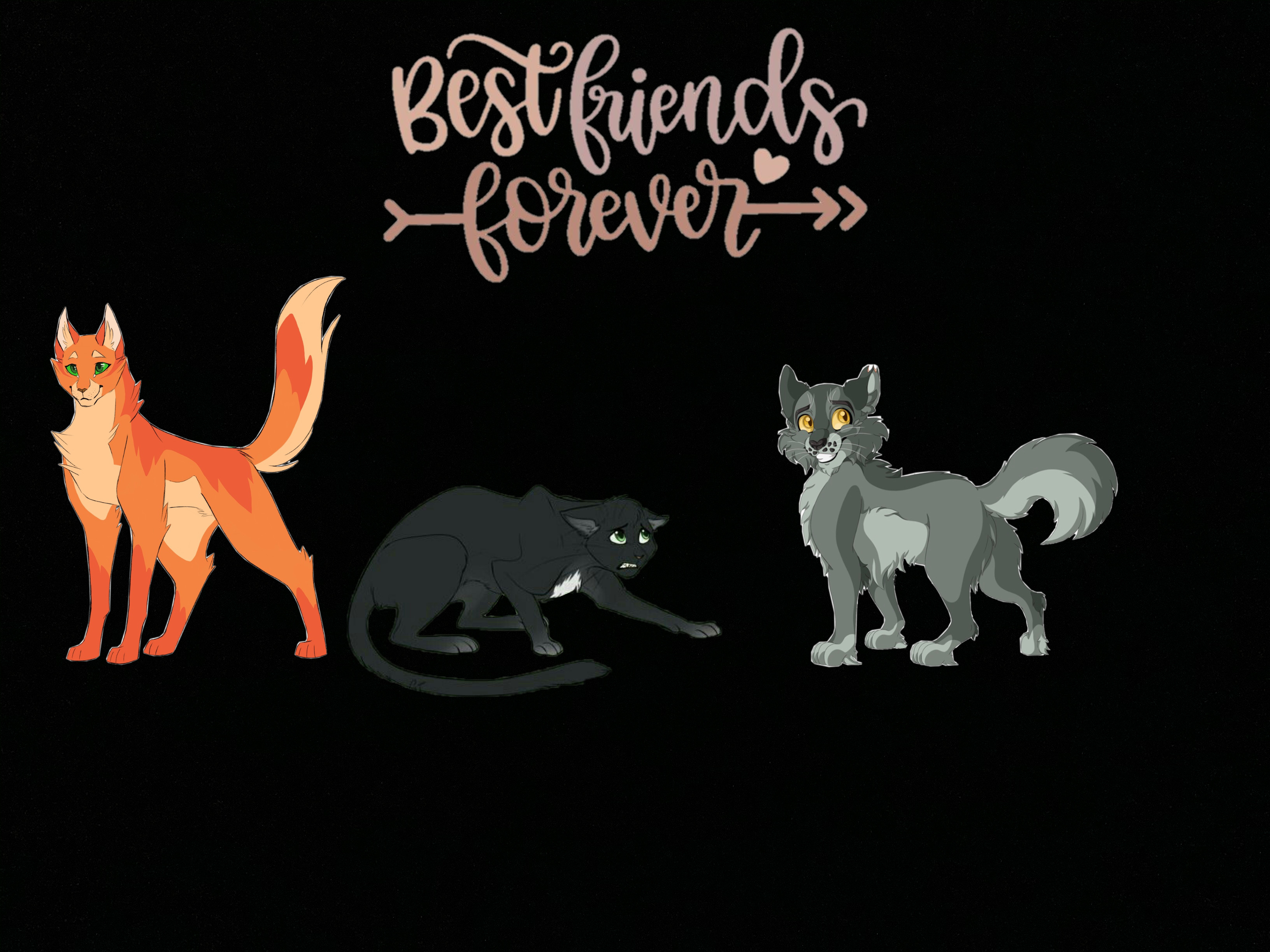 warrior cats firestar graystripe and ravenpaw