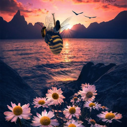 bee abeja surrealedit surrealism surrealart dreams sueños
