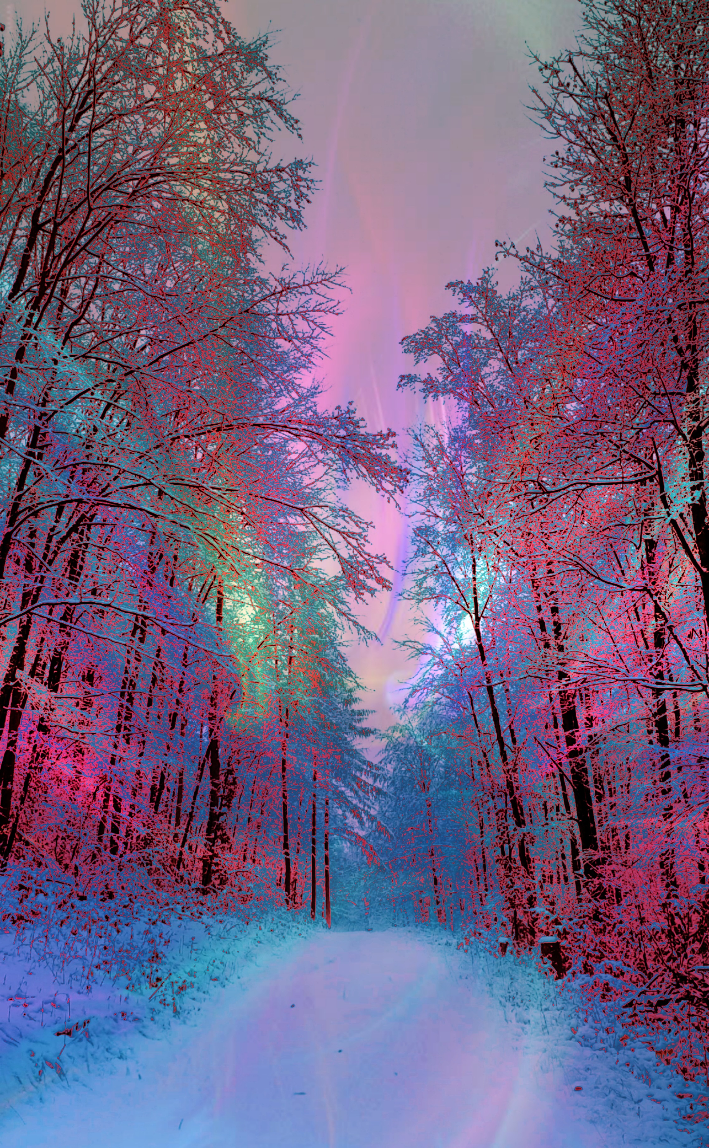 Find more colorful photos 344597330054201