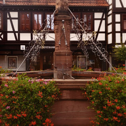 michelstadt oldtown fountain architecture timberframed historicalplaces historical architecturephotography windows building oldhouse dark middleages darkage well waterwell flowers