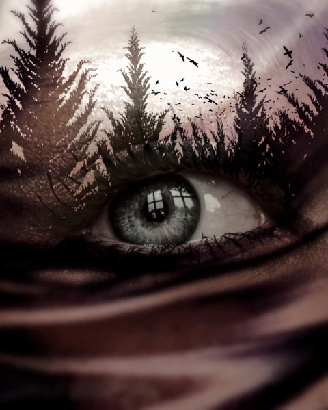 Auge Similar Hashtags On Picsart