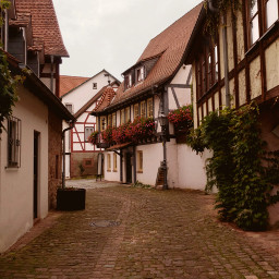 michelstadt oldtown architecture alley timberframed alleyway historicalplaces historical architecturephotography windows building oldhouse dark middleages darkage flowers