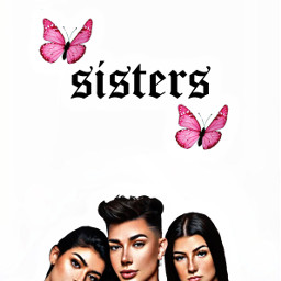 jamescharles charlidamelio dixiedamelio makeup sisters butterfly tiktokers tiktokfamous gourgus model vogue models everything merch drawing cute outfit freetoedit