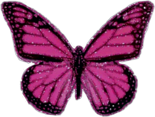 butterfly y2kpink freetoedit