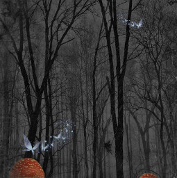 mushroom fantasy fairy faries fae faerie dark forest fog rain darkness magic picsart butterfly butterflies butterfliescrown free freetoedit clouds fantastical