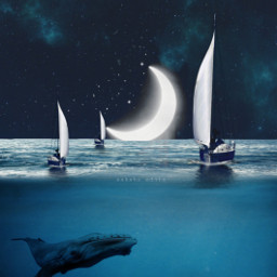 freetoedit boat ship sea whale
