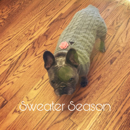 sweaterweather sweaterseason