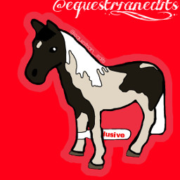 red hades equestrian__edits