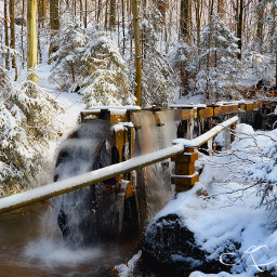 water waterwheel winter winterwonderland snow forest inthenature nature freetoedit