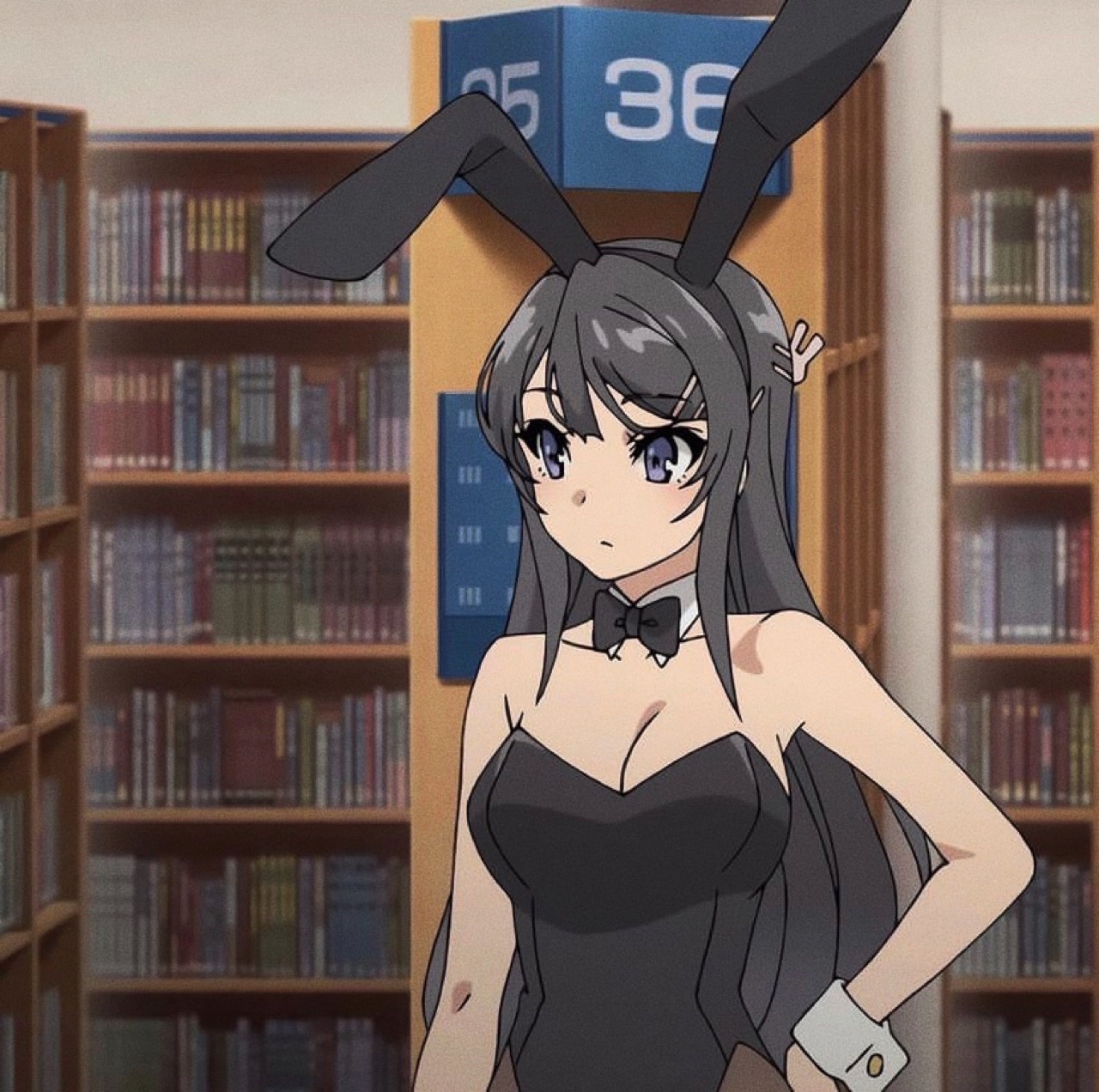 Mai-san, anime, bunny girl senpai, HD wallpaper | Peakpx