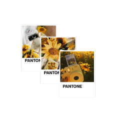 yellow pantone sunflower aesthetic freetoedit