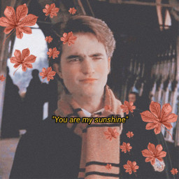 voteme cerdicdiggory harrypotter aesthtic edit fan freetoedit srcpeachyleaves peachyleaves
