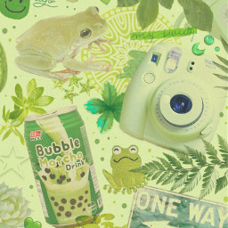green aesthetic collage frogs wallpaper lockscreen background frog plants instax matcha butterfly iphone washitape plantcore cottagecore plantmom jade leaf nature leaves succulents freetoedit