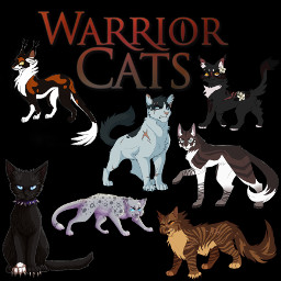 contestentry warriorcats warriorcatsvillans
