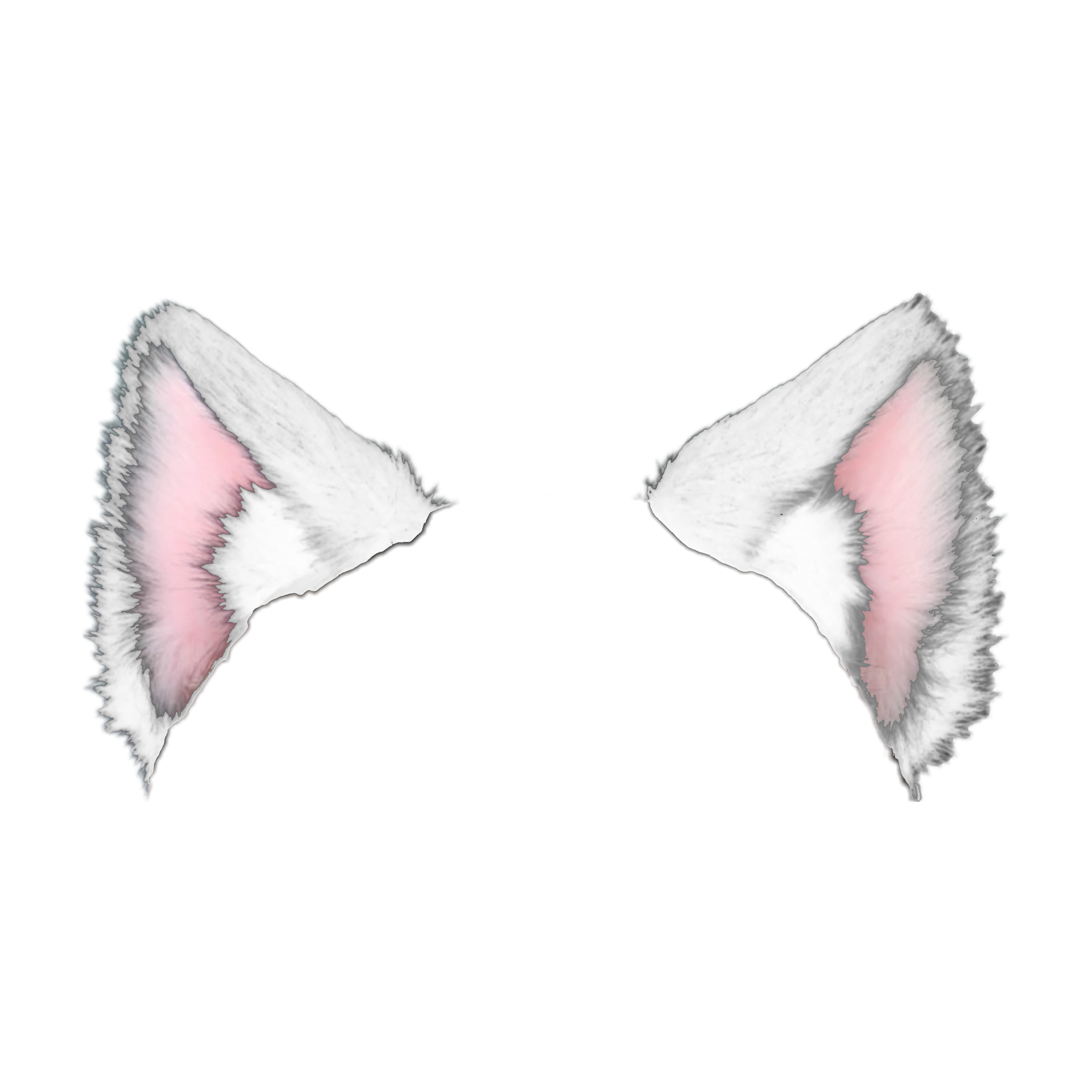 cat ears catears white sticker by @serendiipityjimin_ cat ears catears white sticker by @serendiipityjimin_