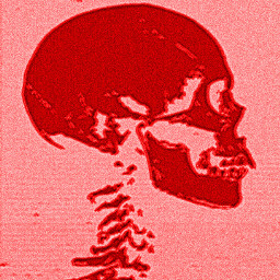 skeleton redaesthetic