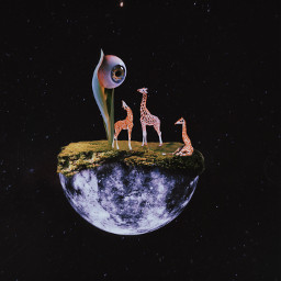 freetoedit surreal surrealism moon giraffe eye plant green life look watching animal space stars interesting madewithpicsart icyx makeawesome heypicsart vote competition ecinyourownwaysurrealism inyourownwaysurrealism