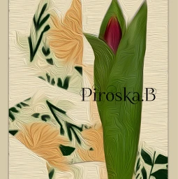 myedit tulip collageart ecspringaesthetic springaesthetic freetoedit