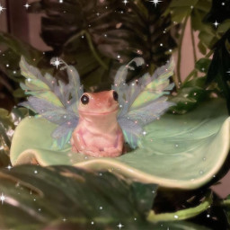 fairyfrog frog sparkles freetoedit