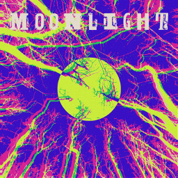 transform edit remix rework artwork forest moonlight glitch composition freetoedit