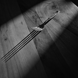 blackandwhite shadow light fork silhouette table myphotography freetoedit