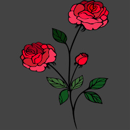 roses freetoedit