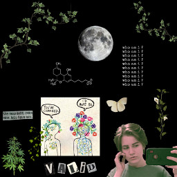 cottagecore moon change bisexual nonbinary green aesthetic vines freetoedit