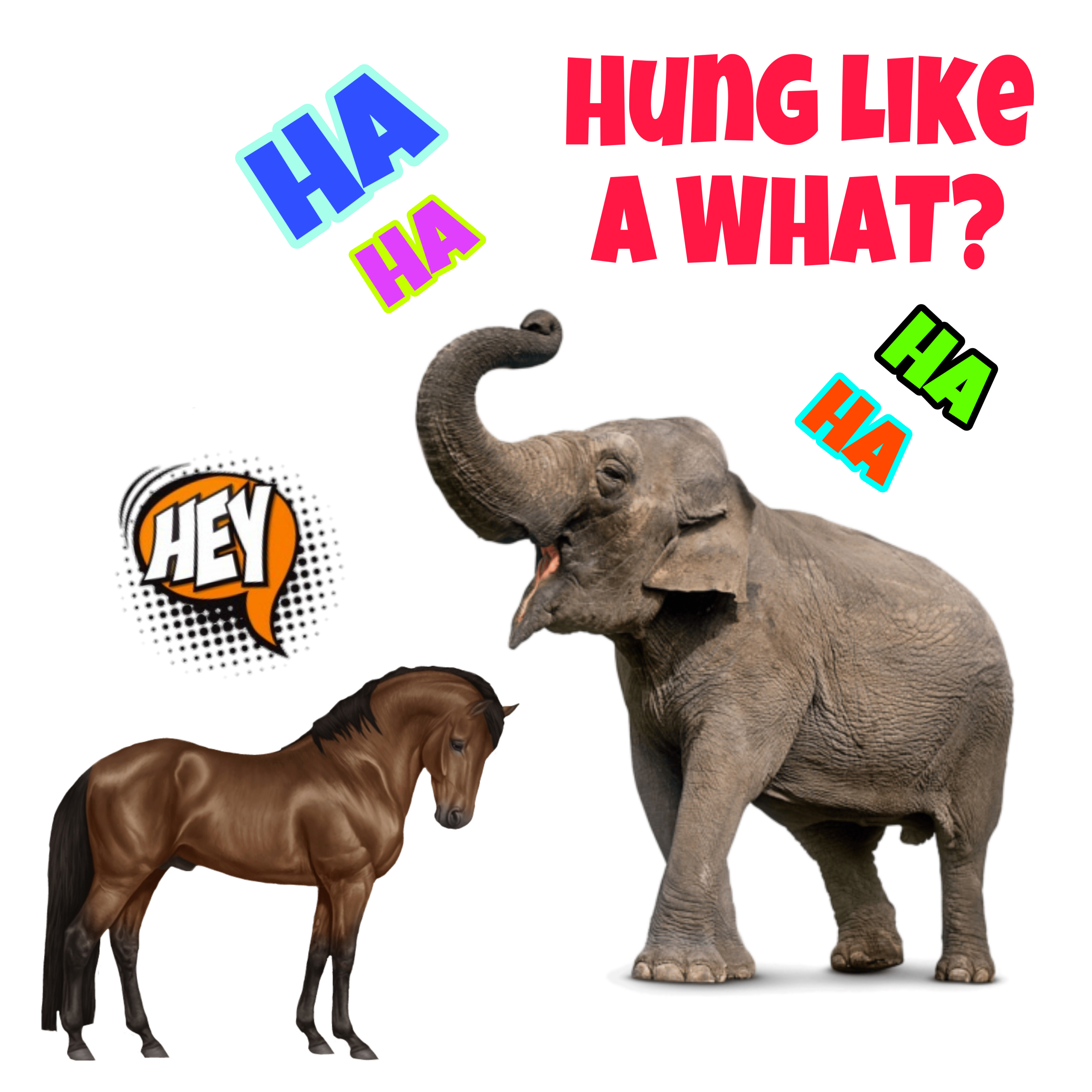 Hung Like An Elephant