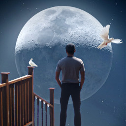 edited silhouette moon man manstanding birds stickers remix night lookatthemoon freetoedit
