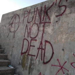 pcwalls walls punk punksnotdead