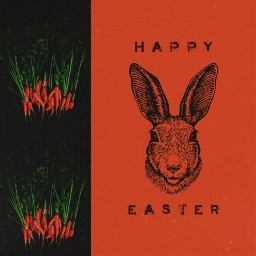 collage composition cutandpaste graphic edit easter happyeaster carrot bunny freetoedit